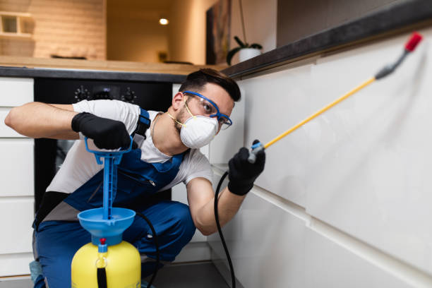 Best Mosquito Control Services  in Onalaska, TX