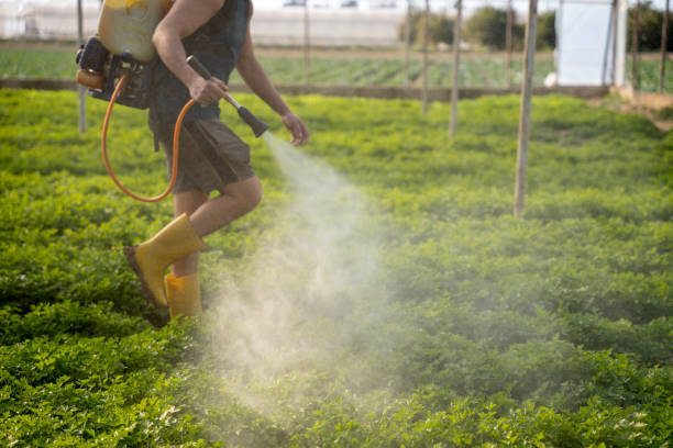 Best Pest Control Near Me  in Onalaska, TX