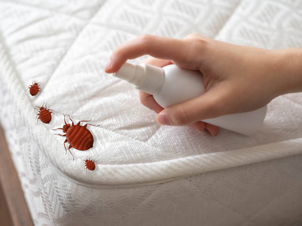 Best Wasp Removal Services  in Onalaska, TX